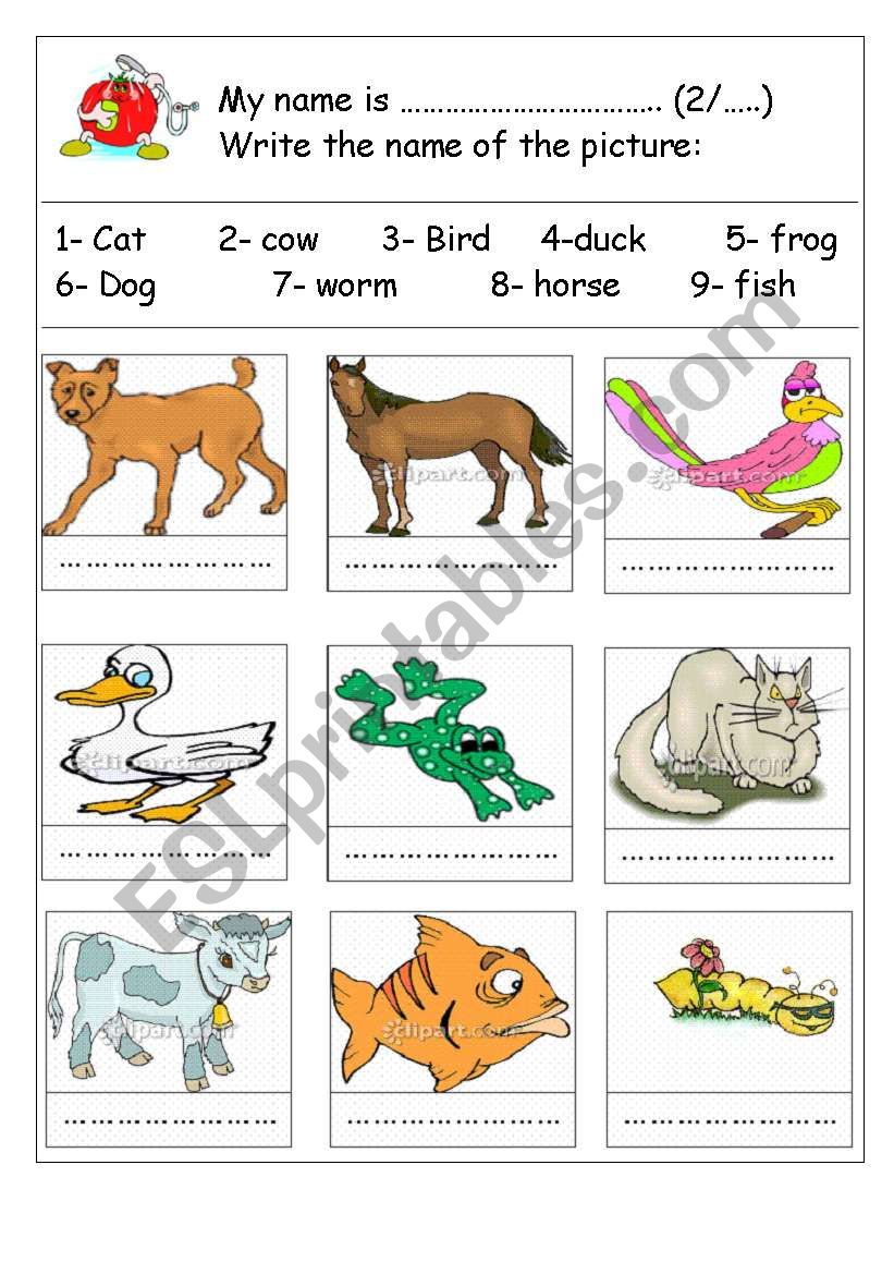 write the name of the animal worksheet