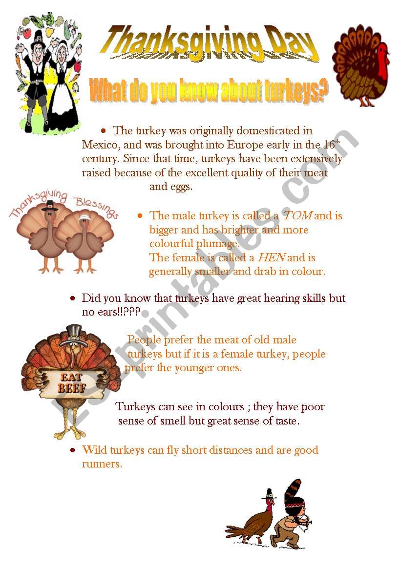 CURIOSITIES ABOUT TURKEYS worksheet