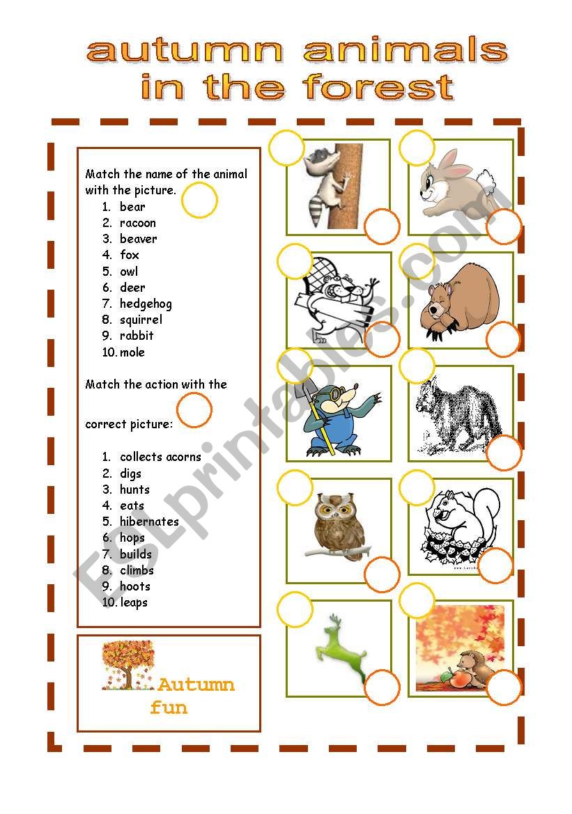 autumn animals in the forest worksheet