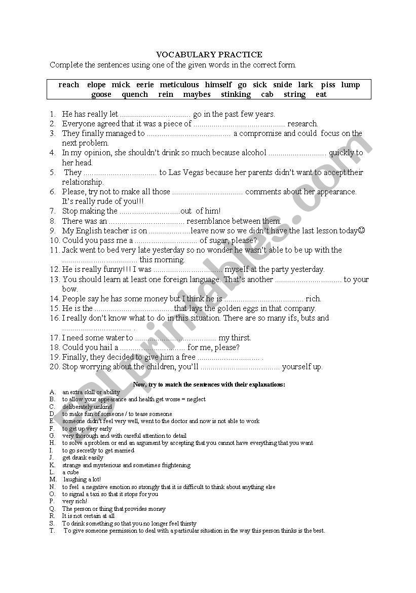 vovabulary practice worksheet