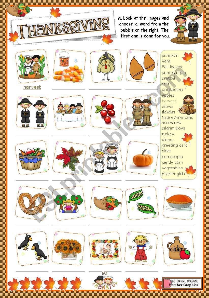 Thanksgiving  -  matching ex. worksheet