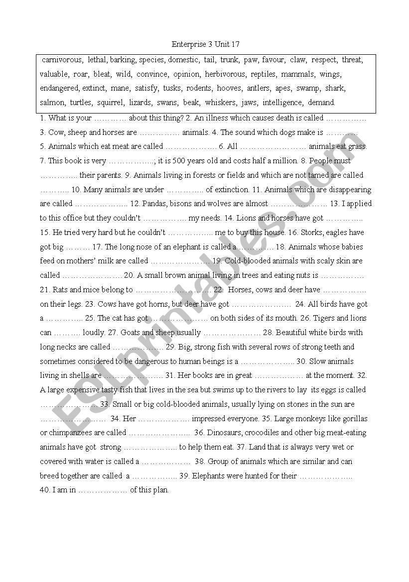 Enterprise 3 Unit 17  worksheet