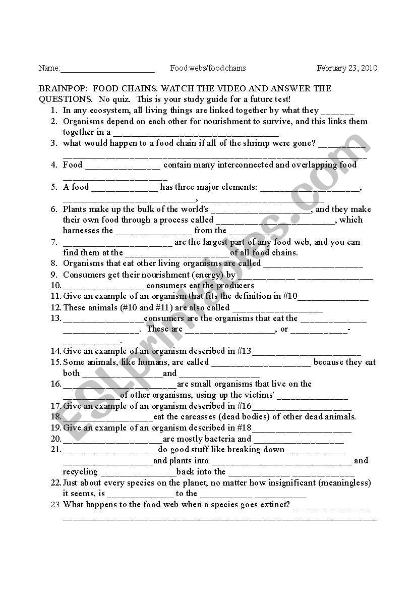 Brainpop Food Chain worksheet