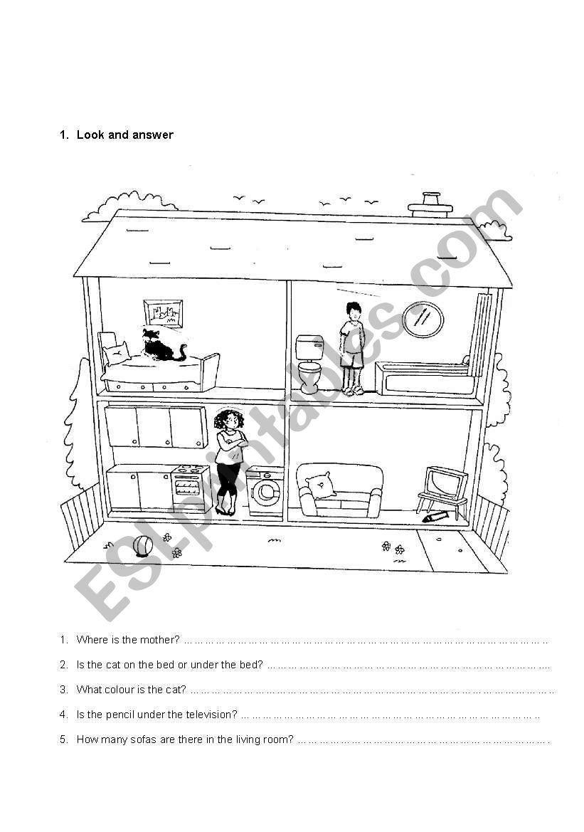 Look and answer worksheet