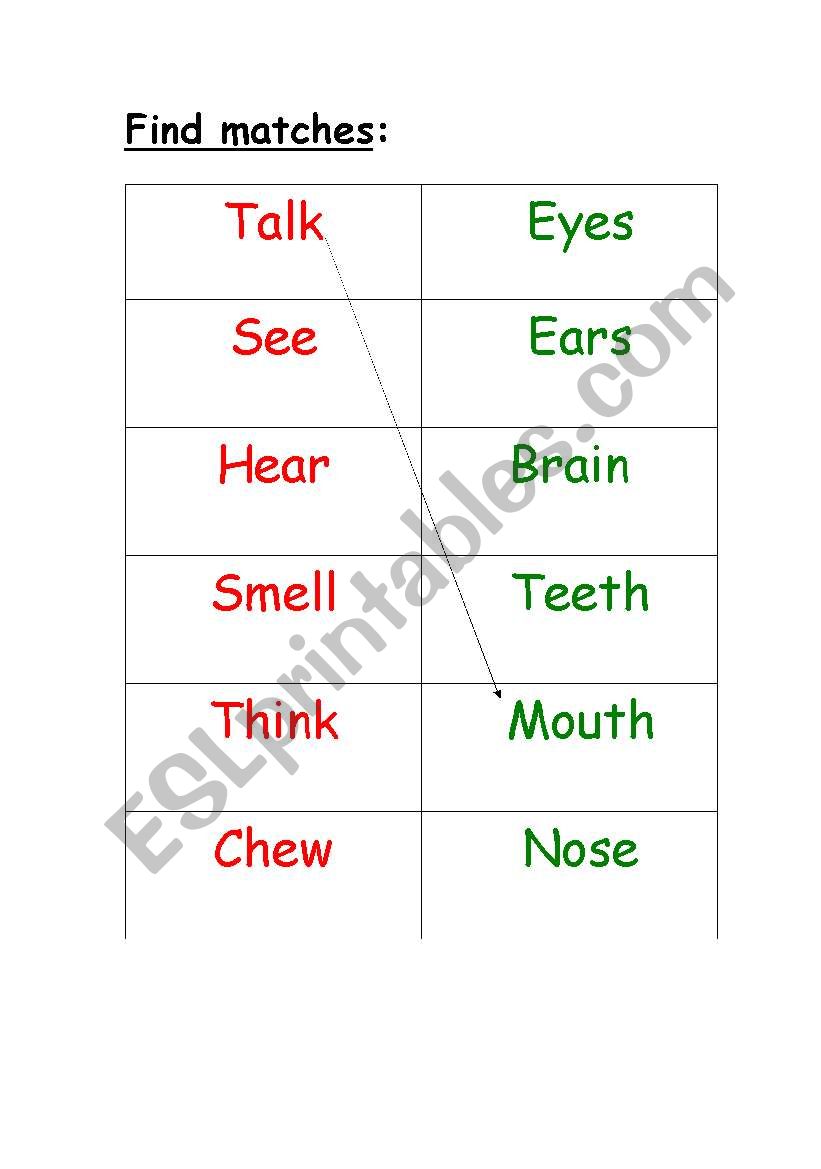 My face worksheet