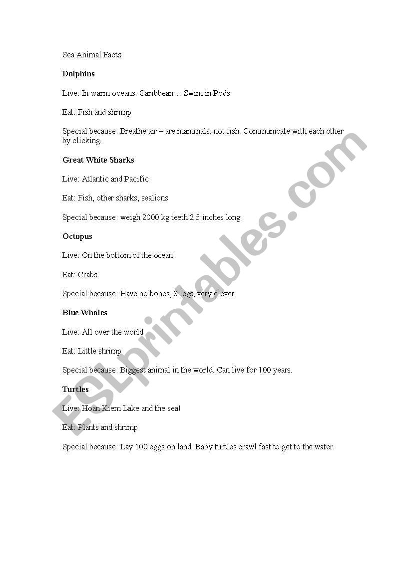 Sea Animal Facts worksheet