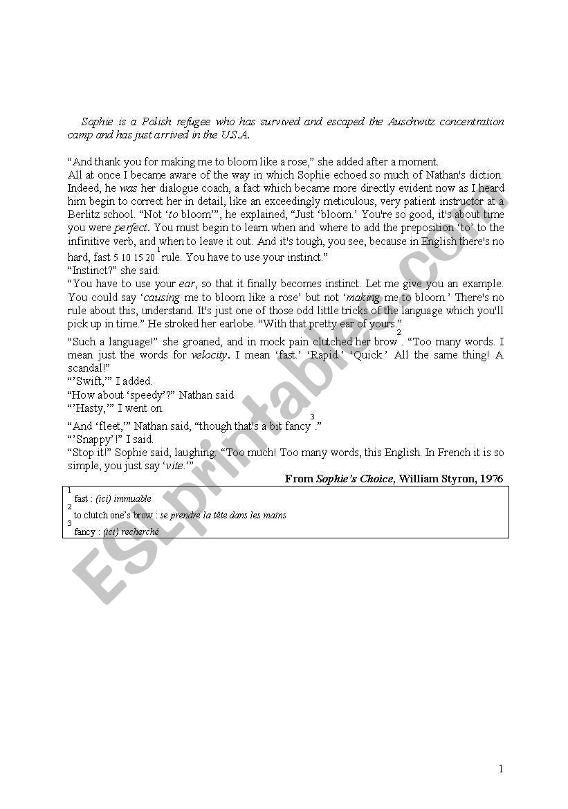 Test on  the English language worksheet