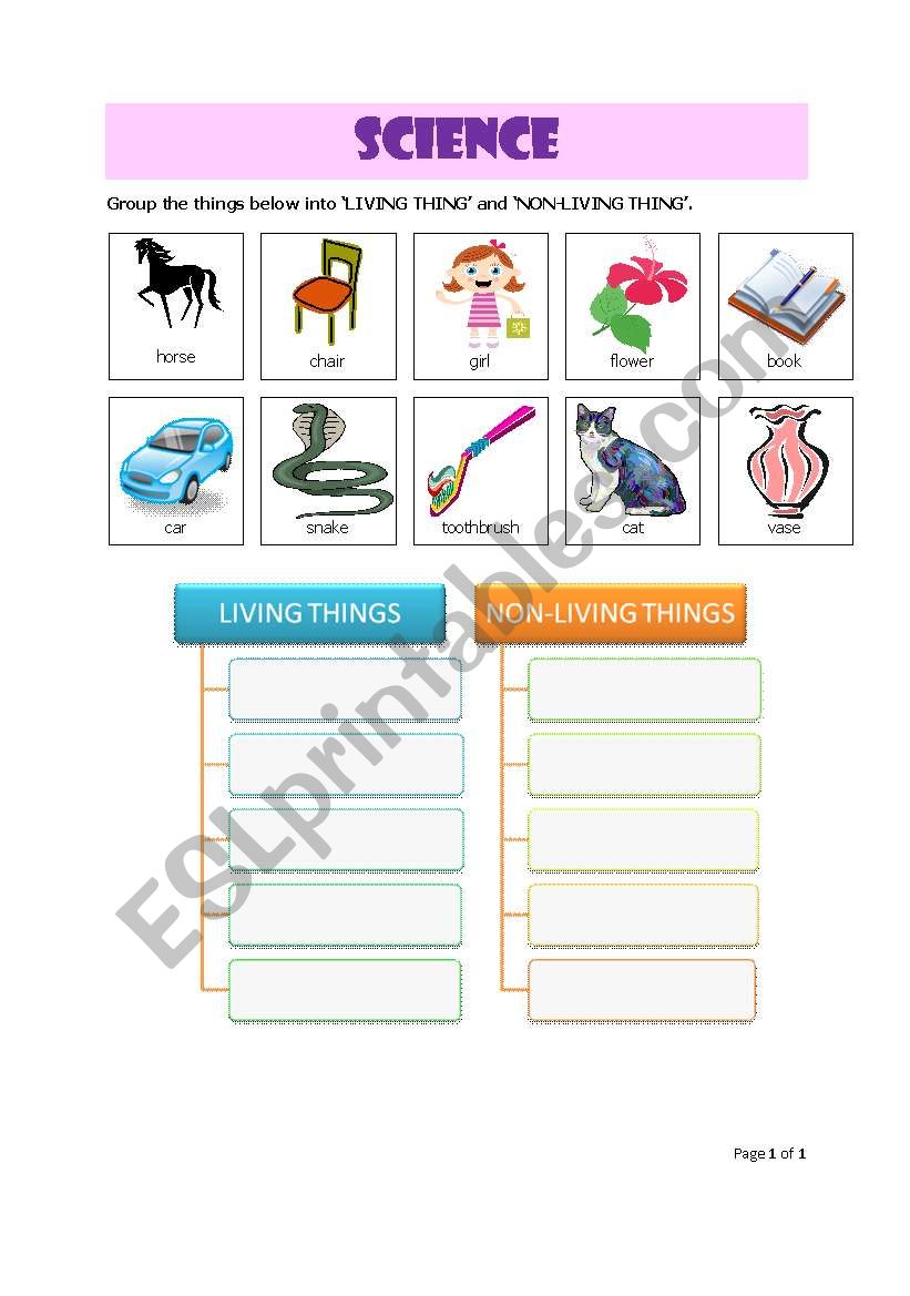 Grouping the living things and non-living things