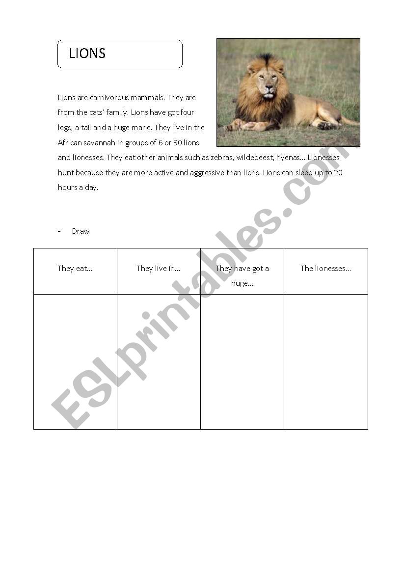 Animals project 1 worksheet