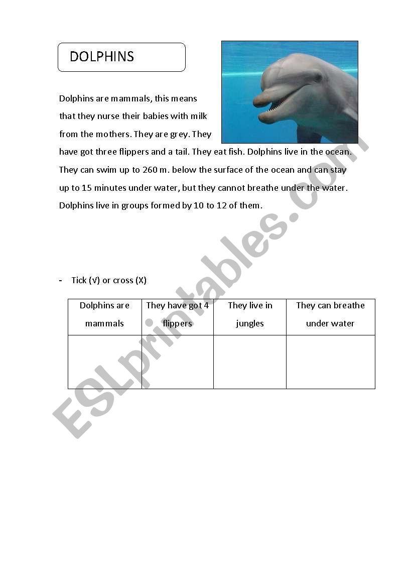 Animals project 2 worksheet