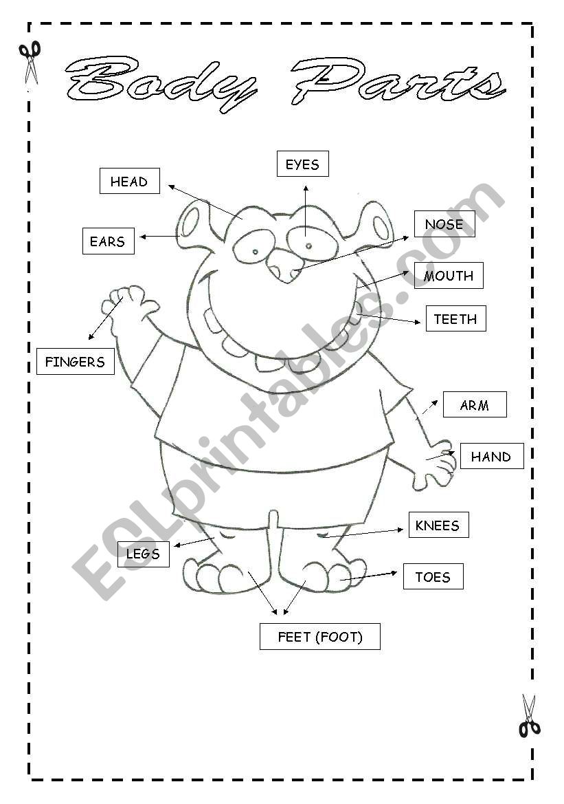 Body Parts -   worksheet