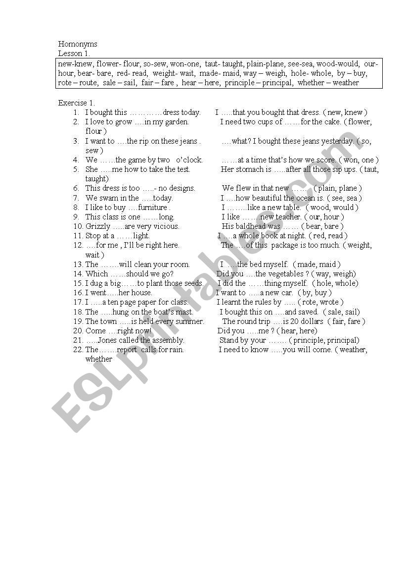 homonyms worksheet
