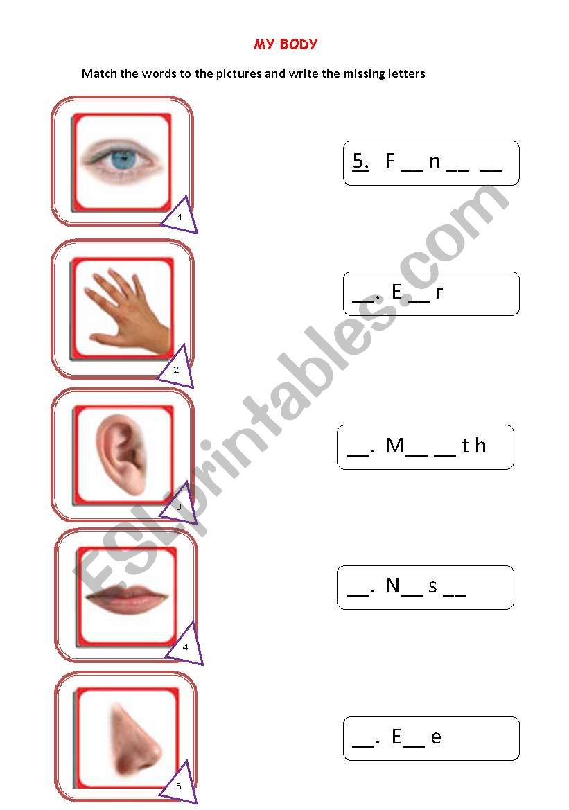 Five senses worksheet