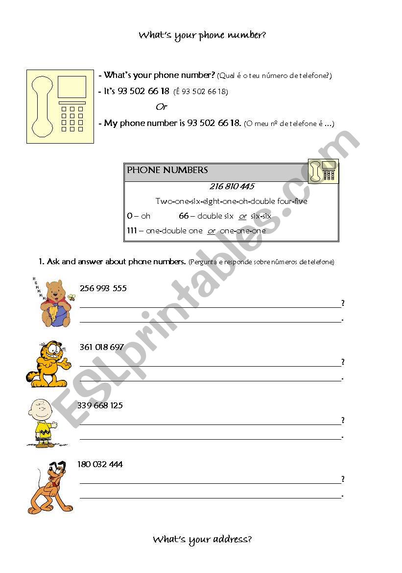 addresses and phone numbers worksheet