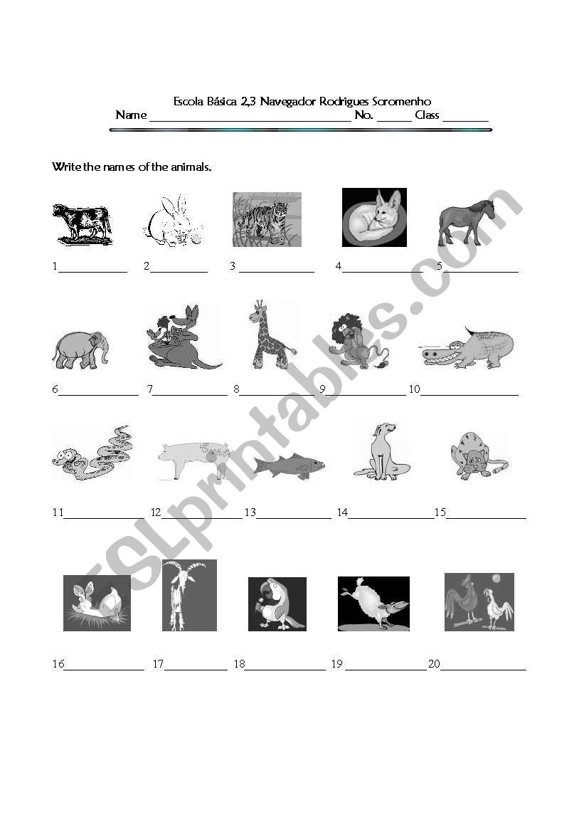 Animals worksheet