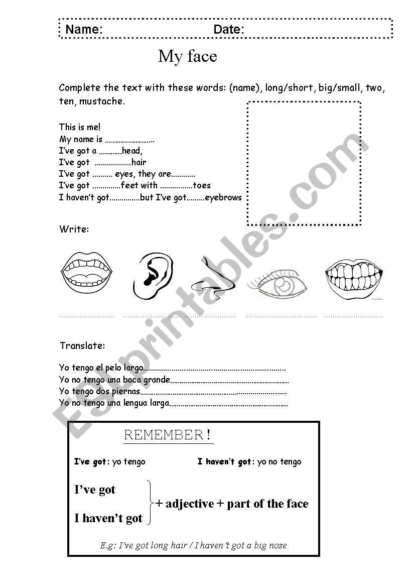 My face worksheet