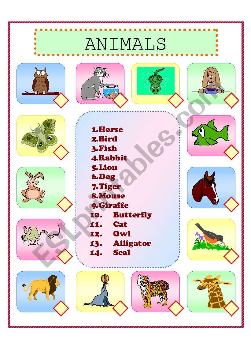 Animals worksheet