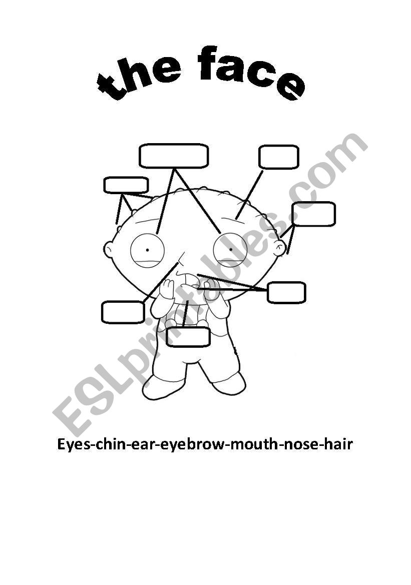 the face worksheet