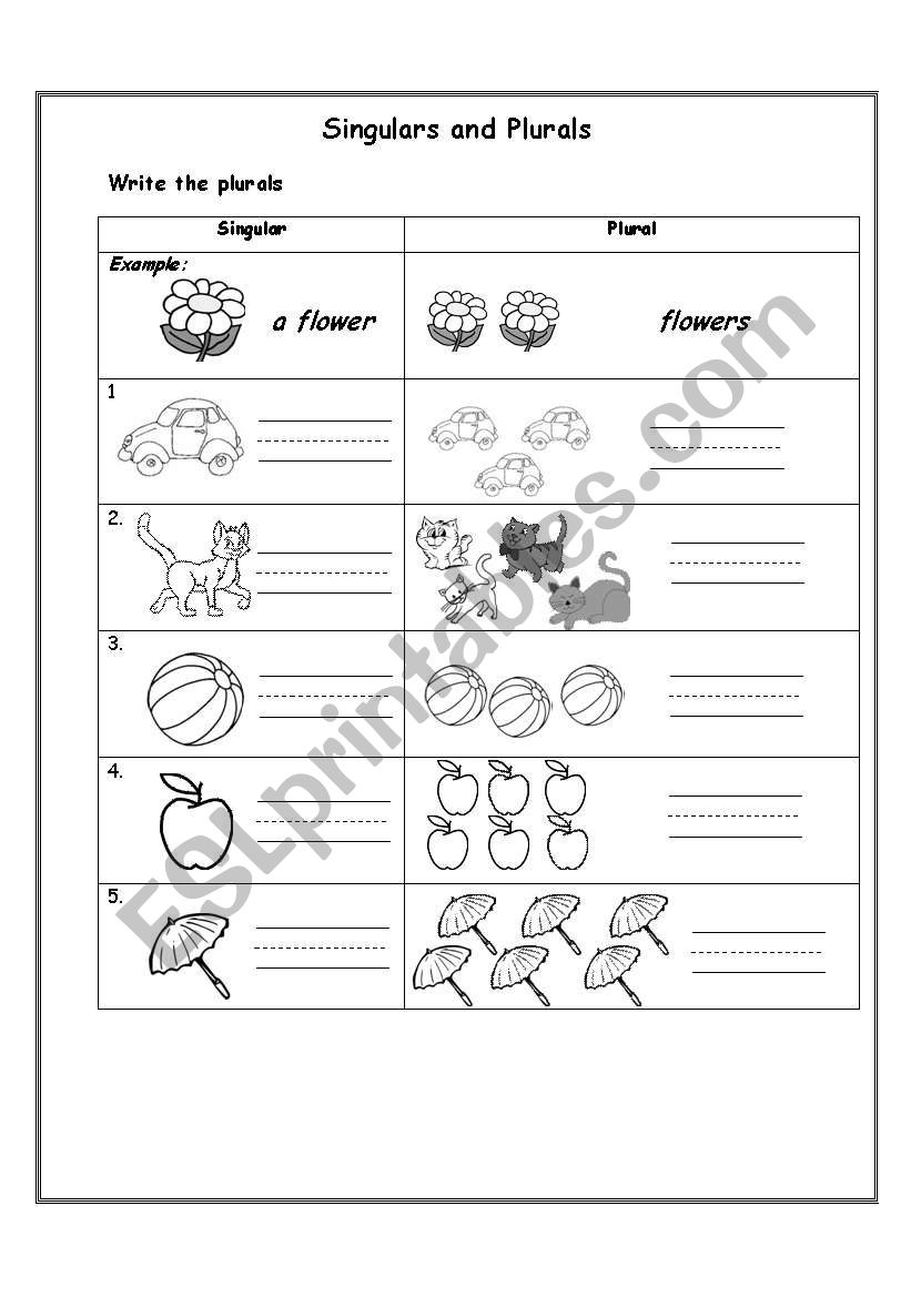 Singular and plural worksheet