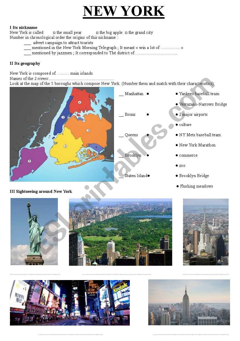 New York worksheet
