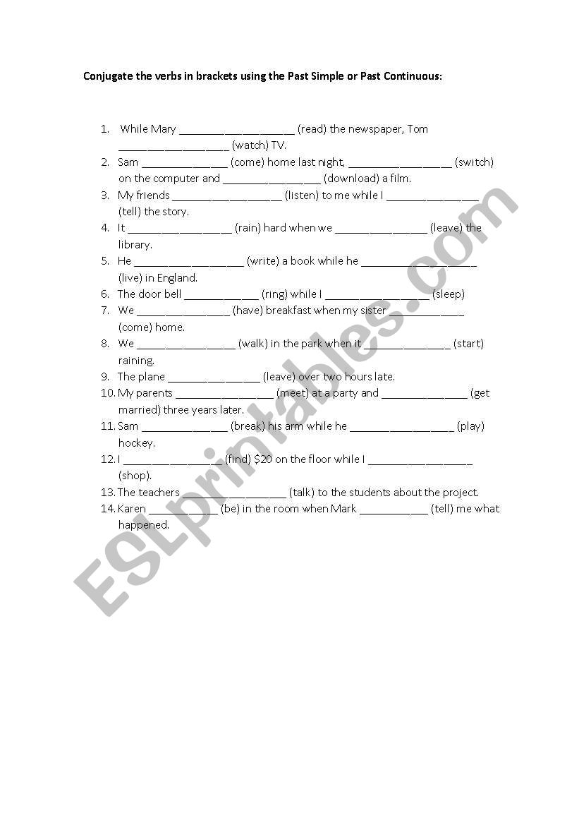 Past Simple/Past Continuous worksheet