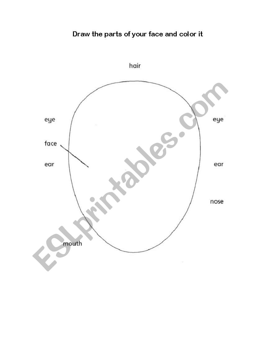 Parts of face worksheet