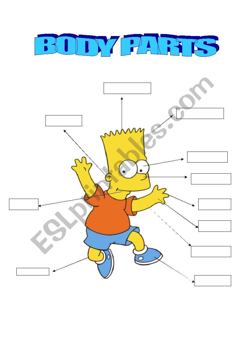 1 BODY PARTS worksheet