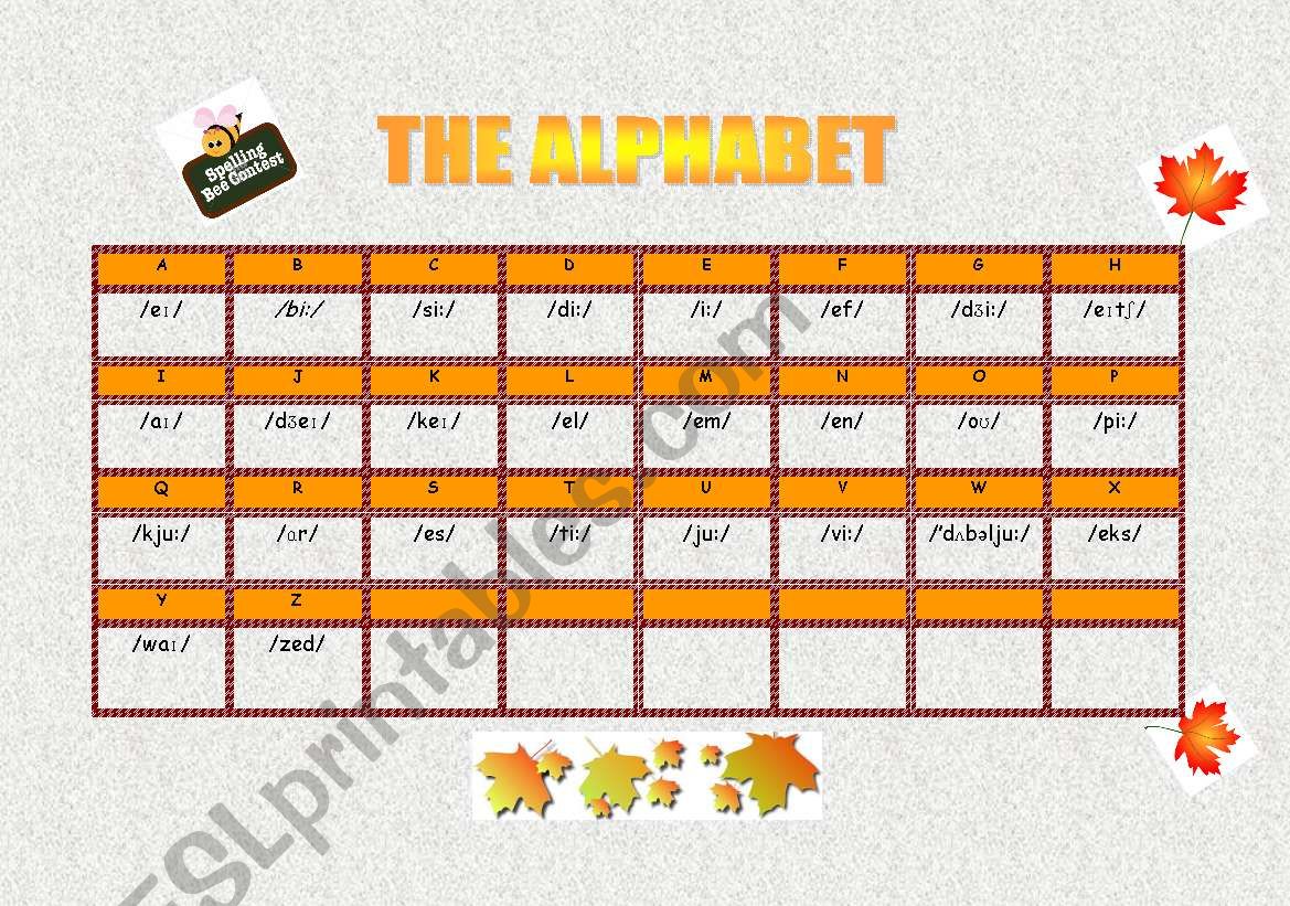 The alphabet worksheet