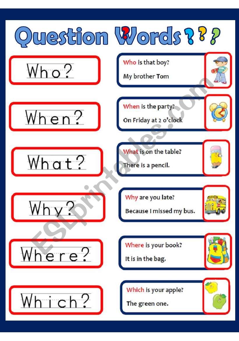 worksheet about questions words