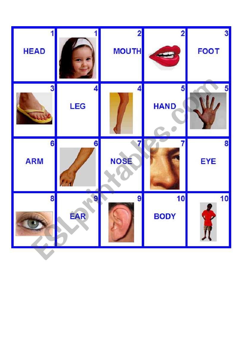 Body Memory Game worksheet