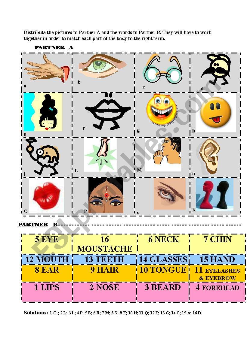 Parts of the body/face - ACTIVITY CARDS