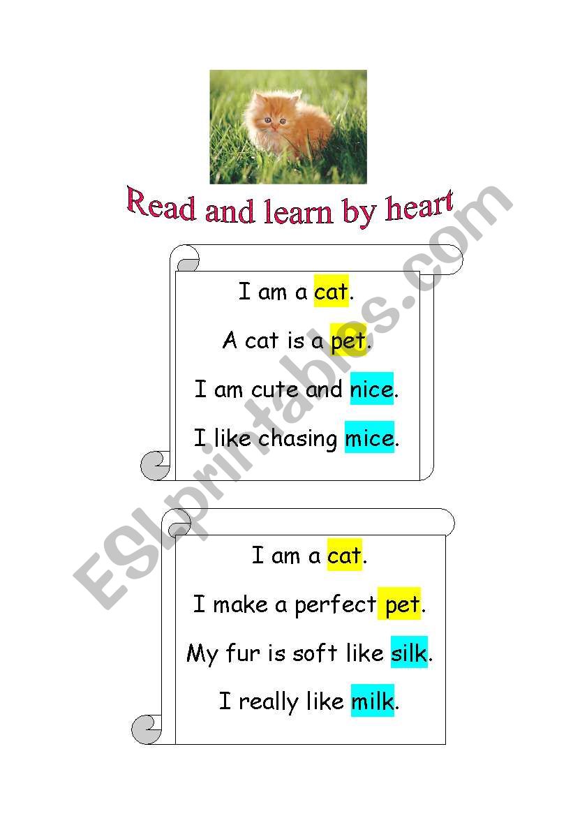 I am a cat  (rhymes) worksheet