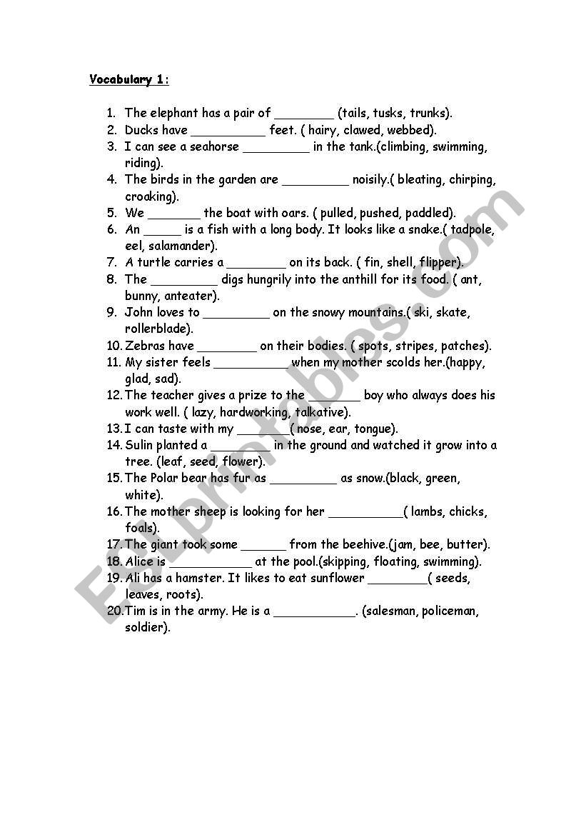 vocabulary and grammar worksheet