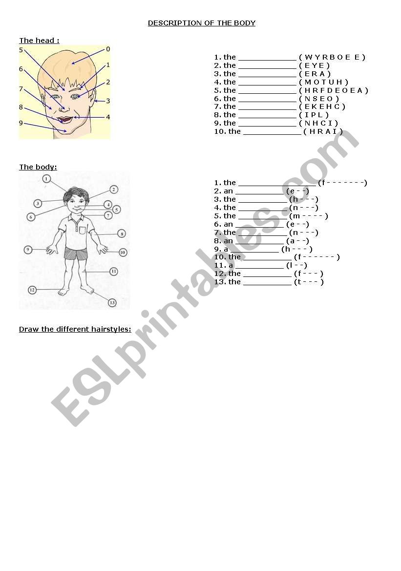 Descrption of the body parts and face