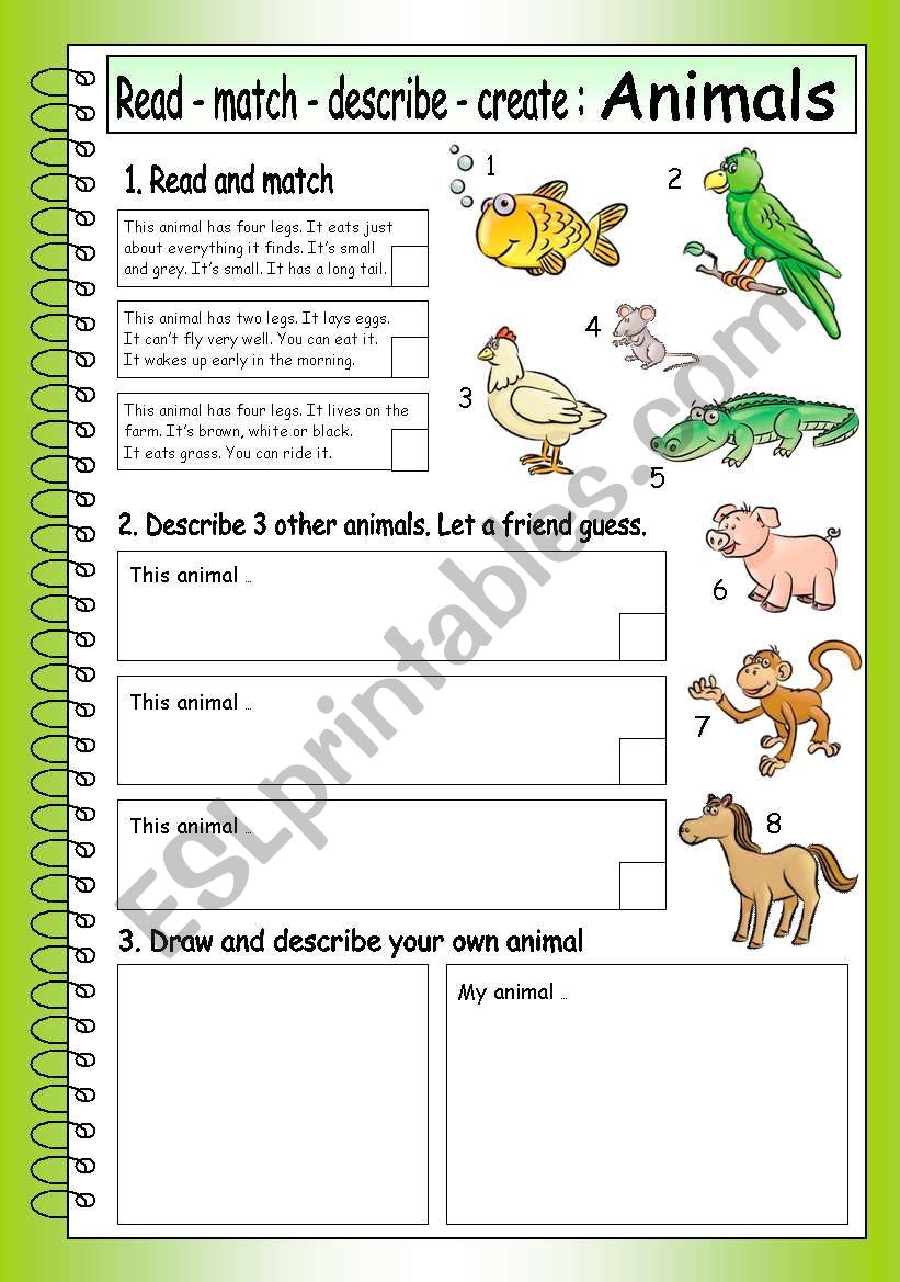 Read - Match - Describe - Create: ANIMALS (3)