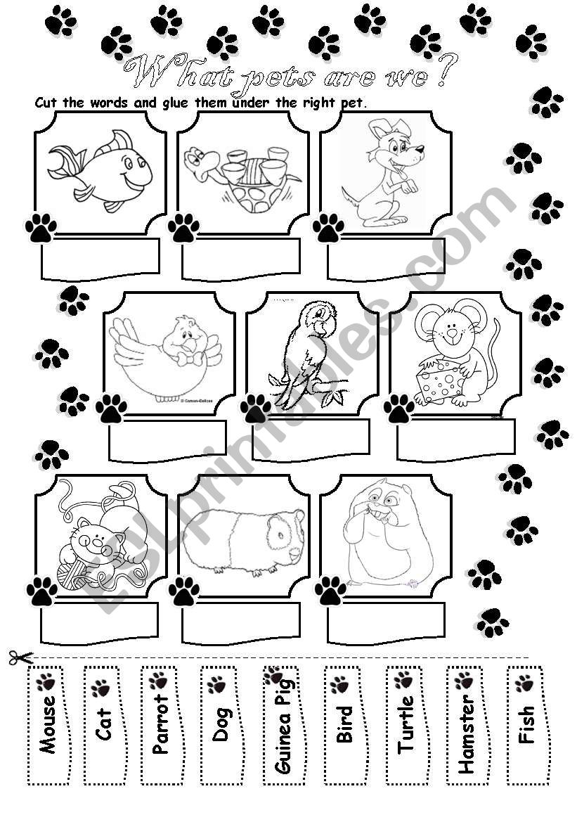 Animals (pets) worksheet