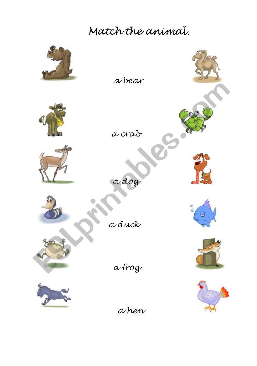 match the animals worksheet