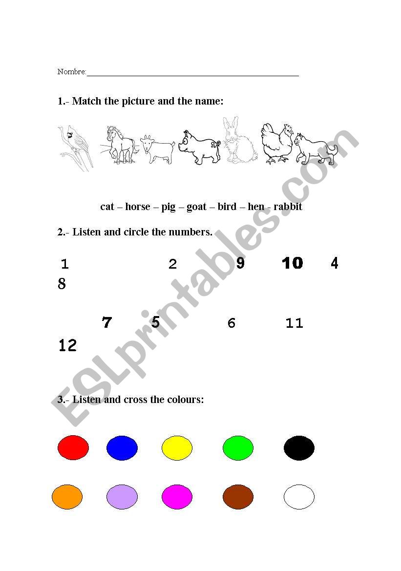 Animals, numbres an colours worksheet