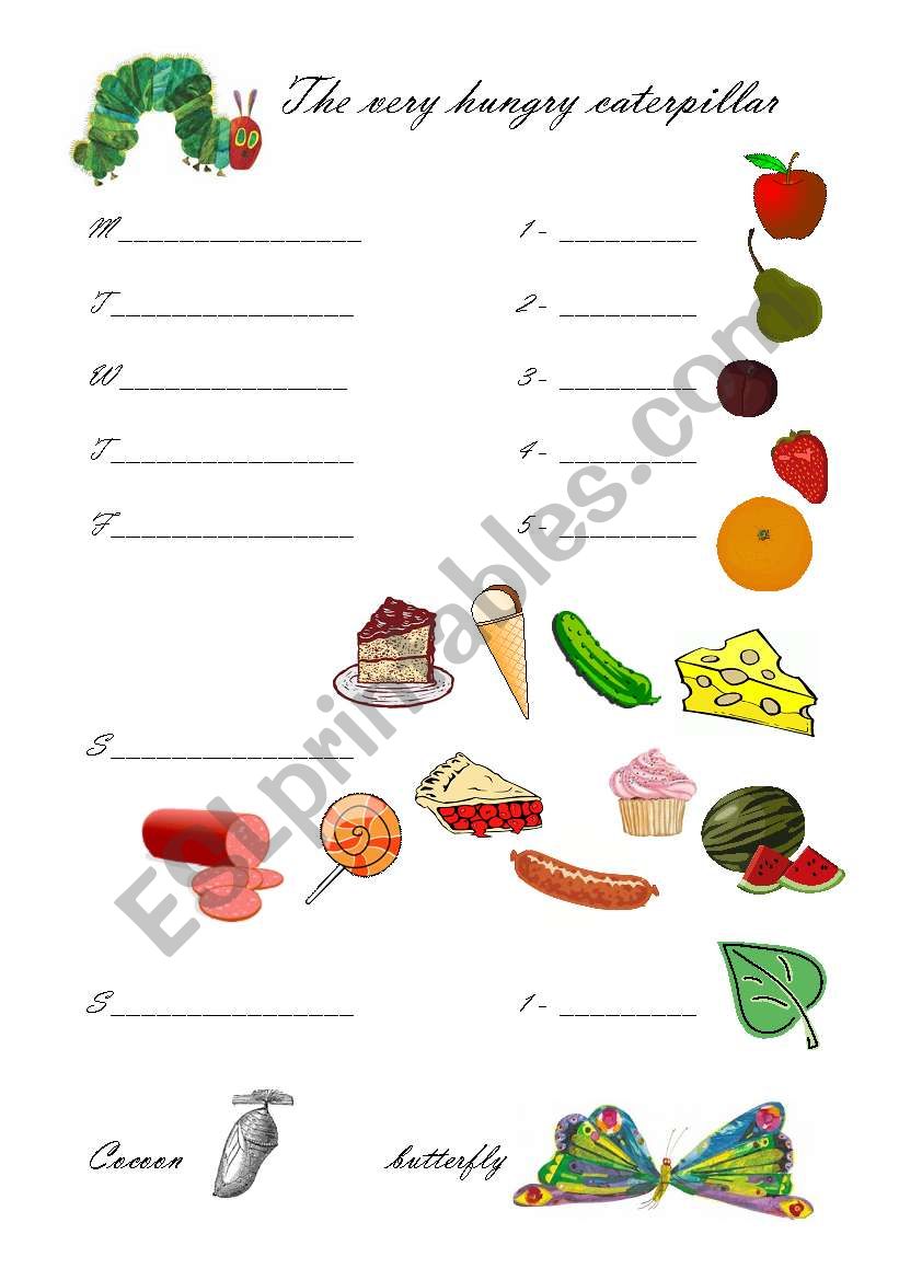 The very hungry caterpillar worksheet