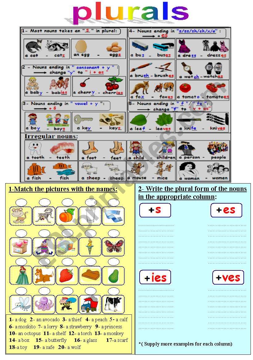 plurals worksheet