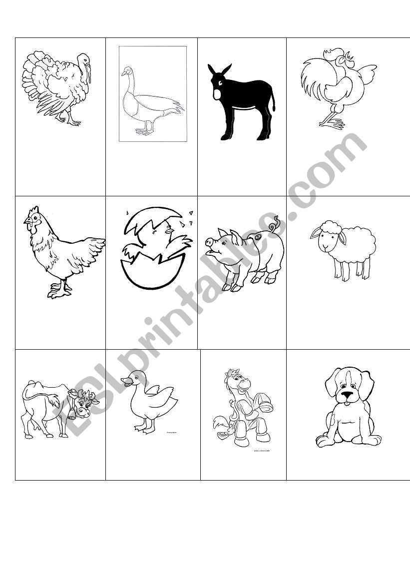 animals worksheet