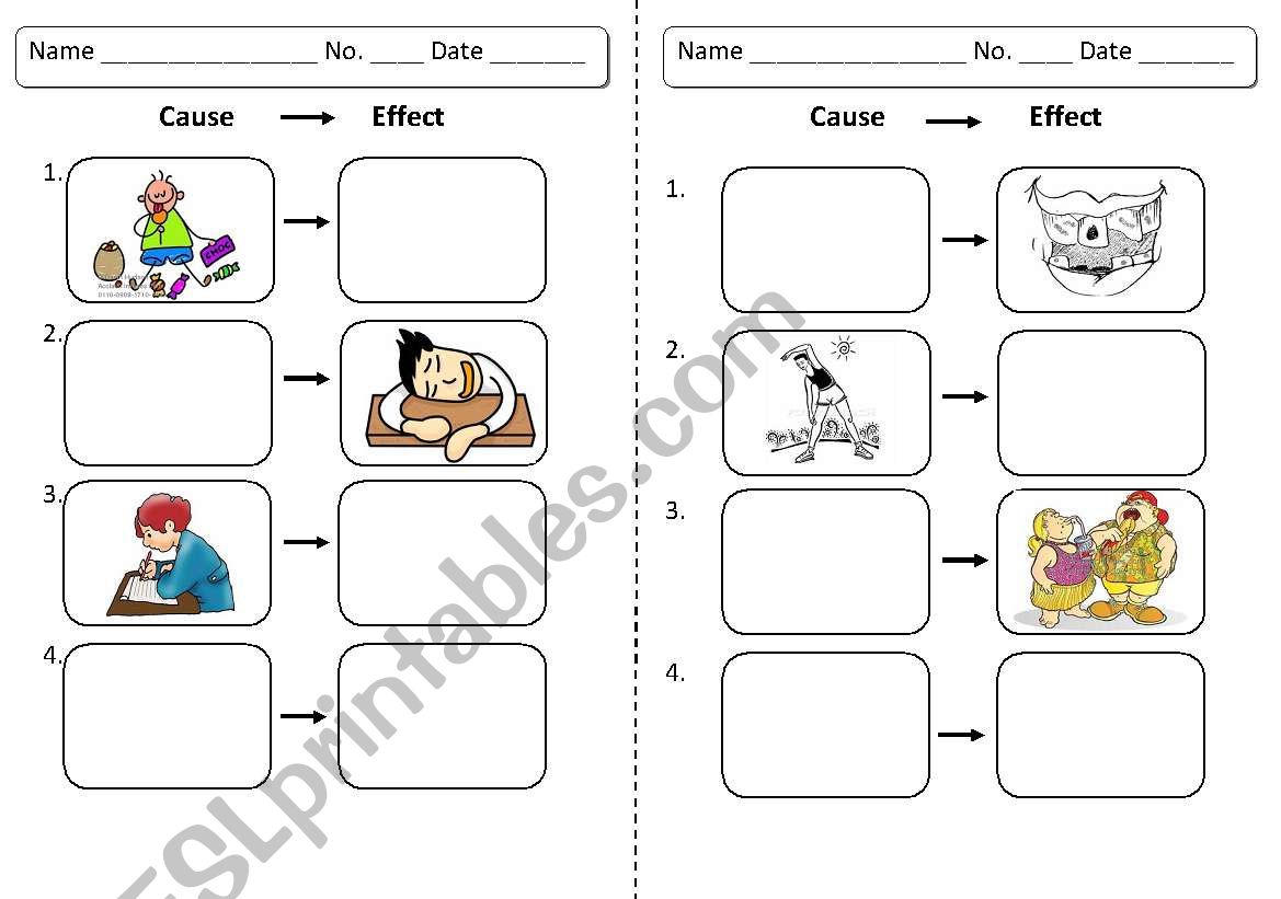 cause and effect worksheet