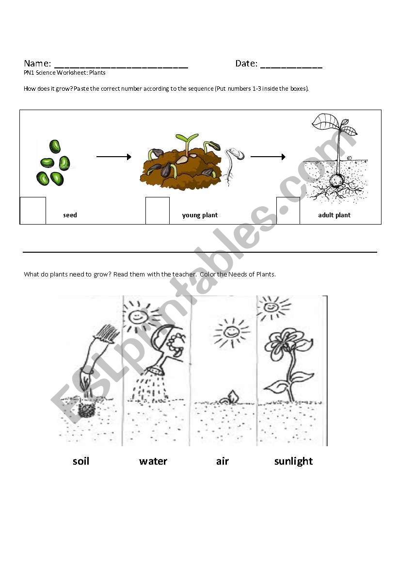 Growth and Needs of Plants worksheet