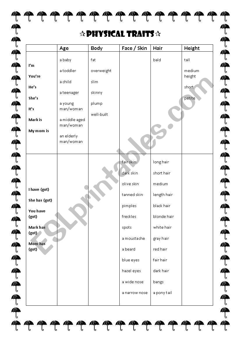 Physical traits  worksheet