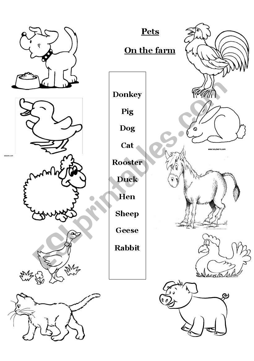 Pets worksheet