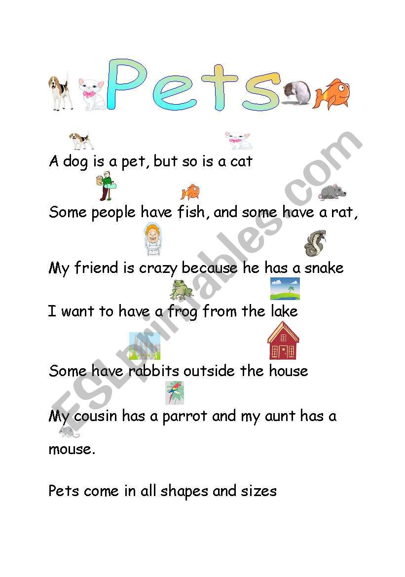 Pets worksheet