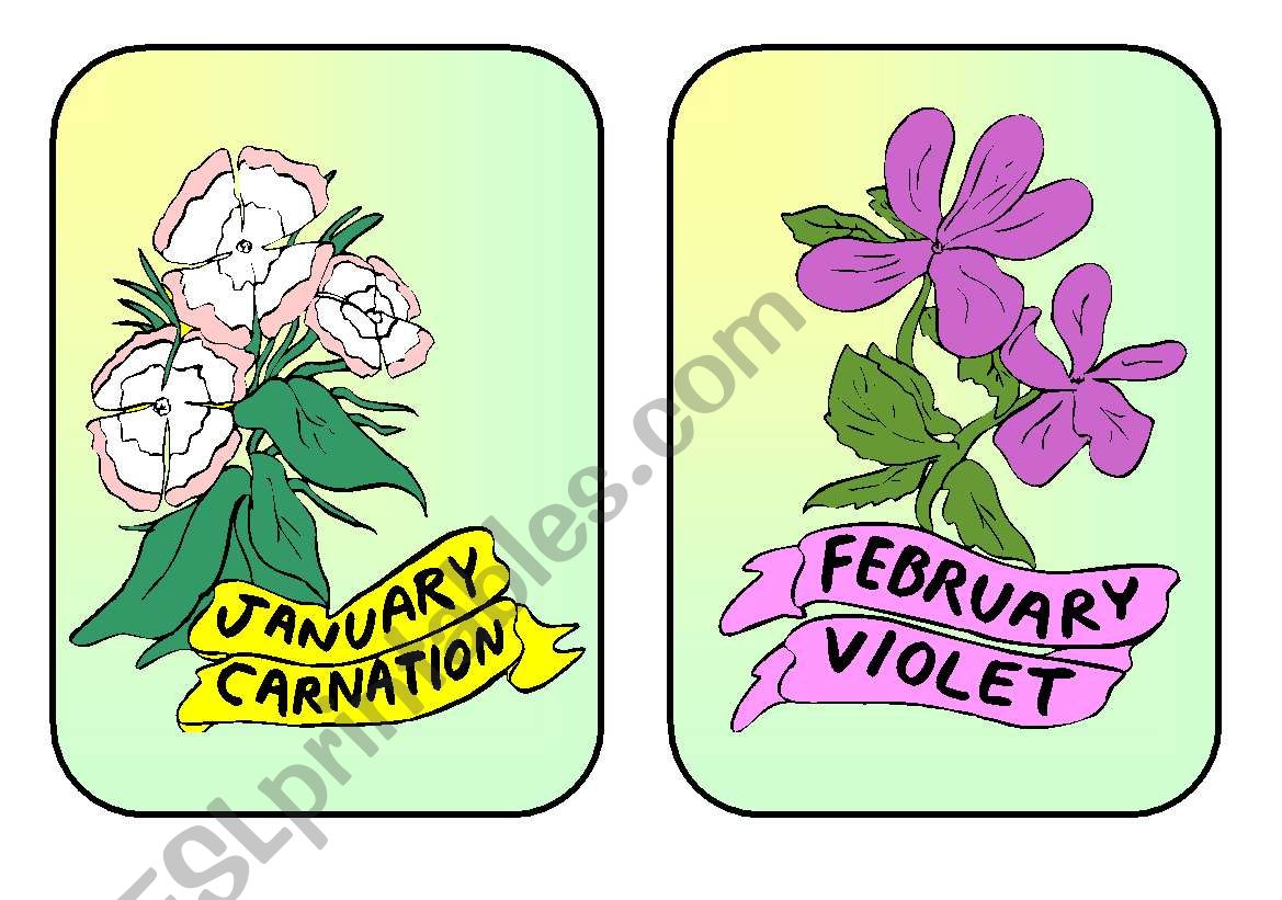 Months and flowers flashcards worksheet