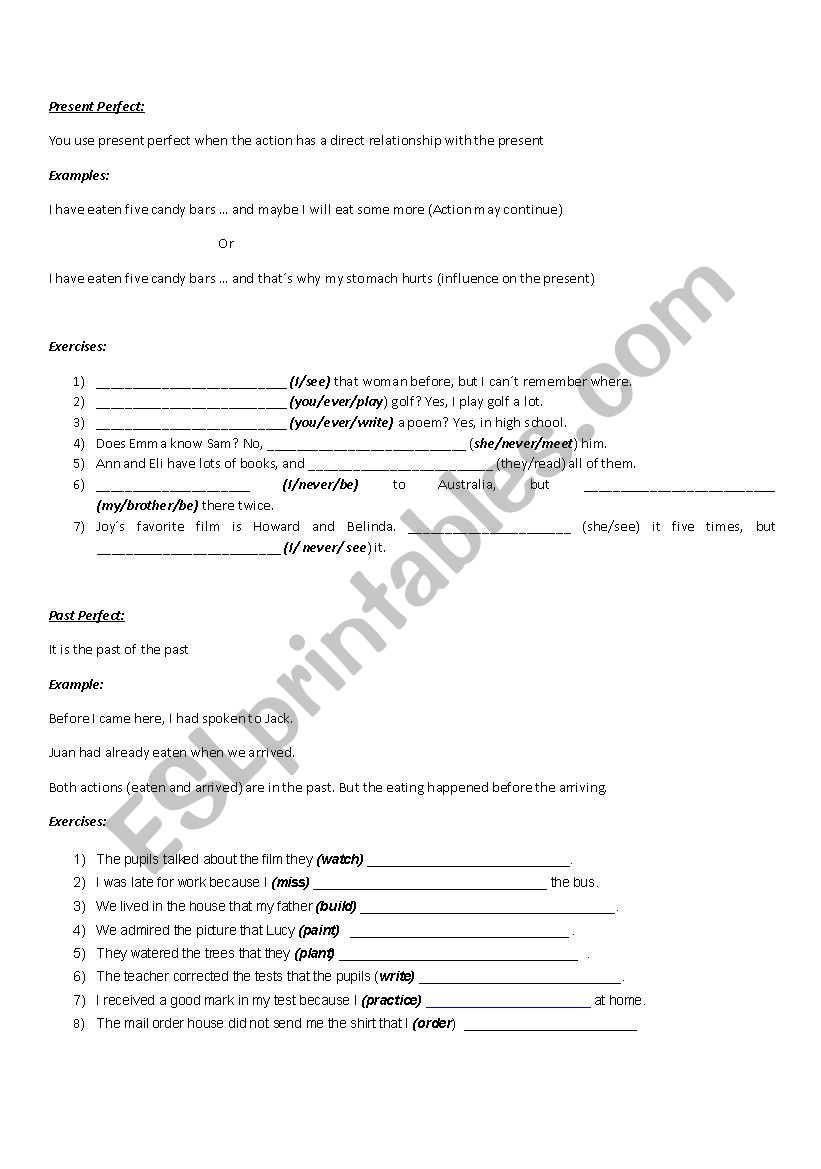 present perfect exercises  worksheet