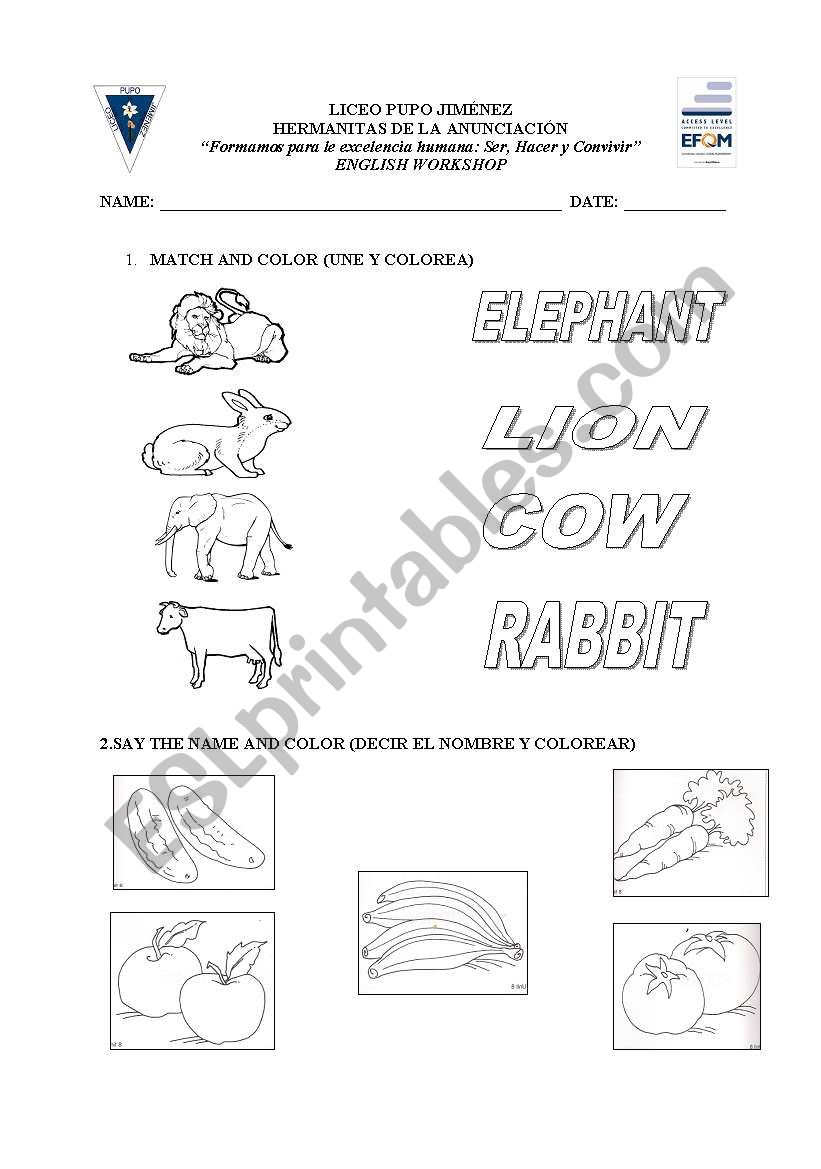 animals and fruits worksheet