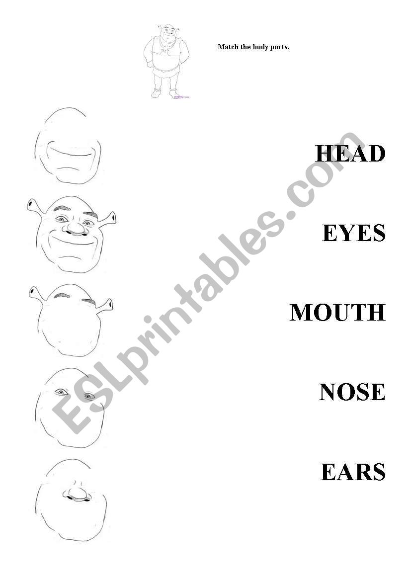 Shrek body parts matching worksheet